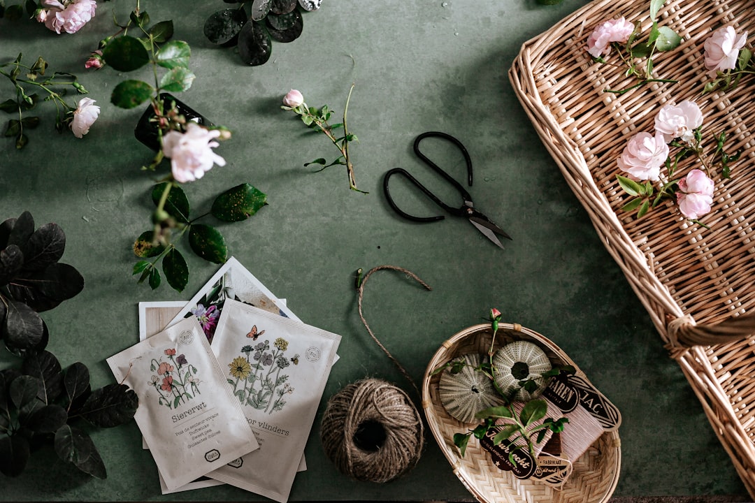 Panier tressé avec des feuilles vertes